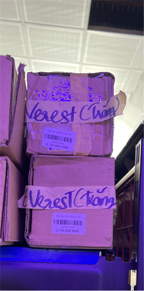 Đèn led cốp Everest 19