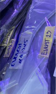 Tappi cửa Everest 24