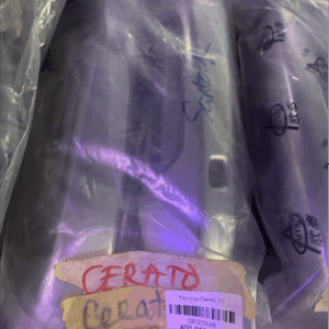 Tay cửa Cerato 21
